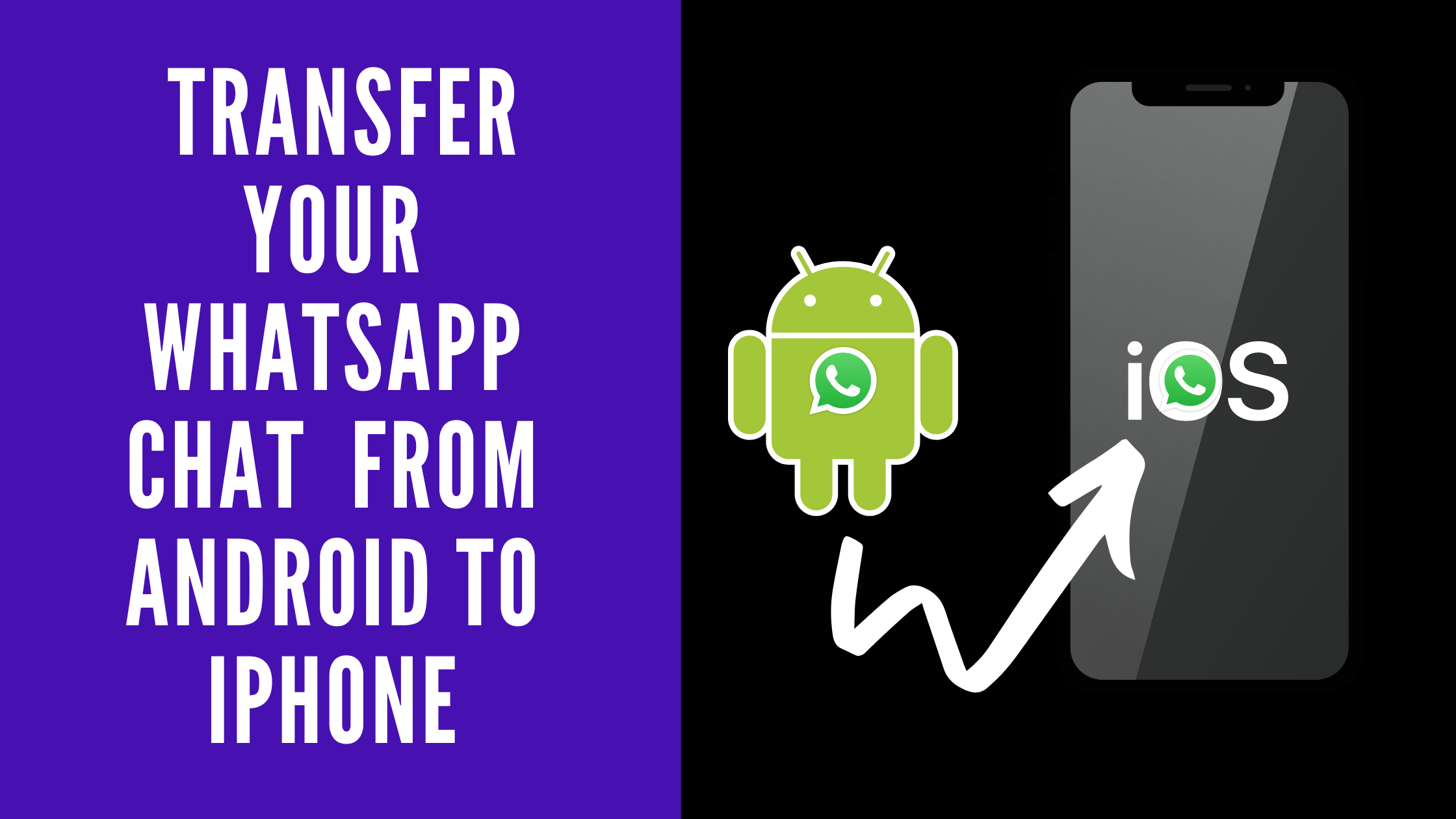 How To Transfer Your WhatsApp Chat History From Android To iPhone